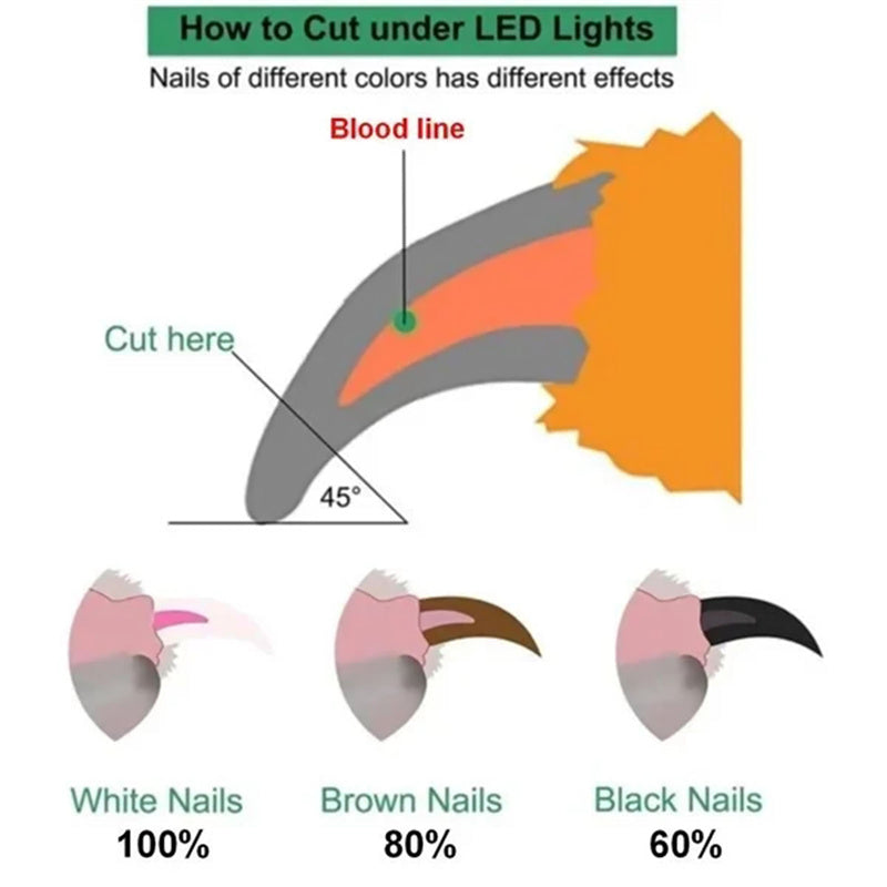 led-nail-clippers-shows-the-quick-before-you-cut