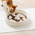 slow-feeder-bowl-maze-base-stops-gulping