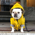Windproof Dog Jacket - Insulated Coat for Cold and Wet Walks