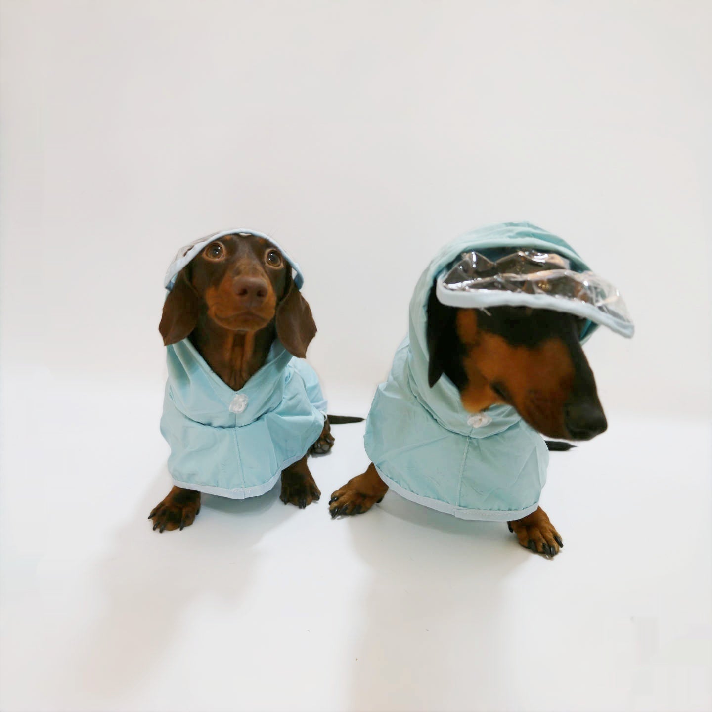 Waterproof Dog Raincoat - Hooded Poncho with Full Belly Coverage