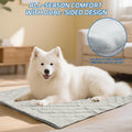 Pet Cooling Mat - Self-Chilling Pad for Dogs and Cats in Hot Weather