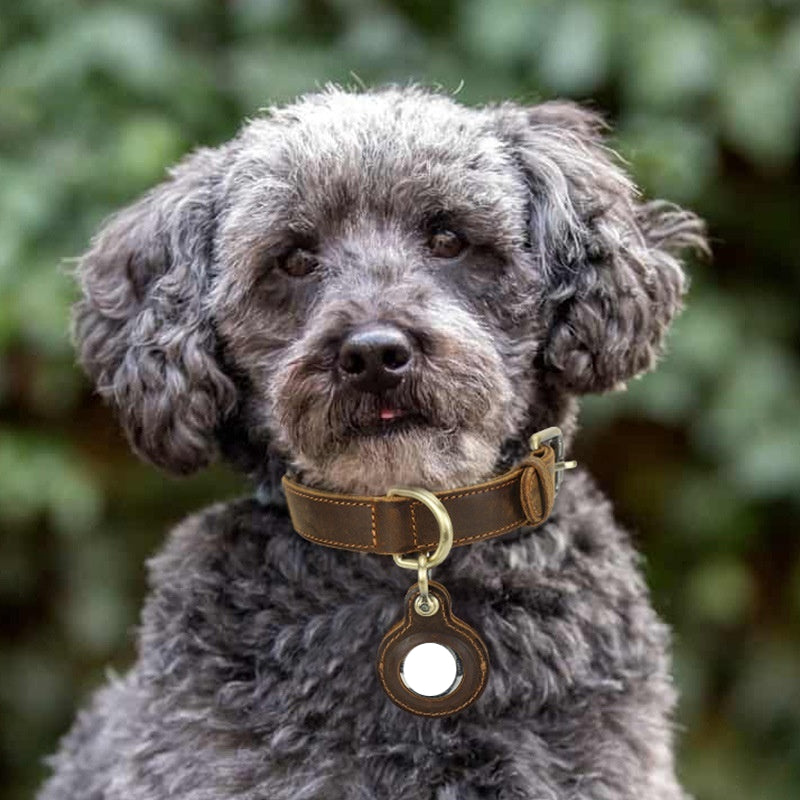 Handmade Leather Dog Collar - Double-Sided Cowhide, Reversible