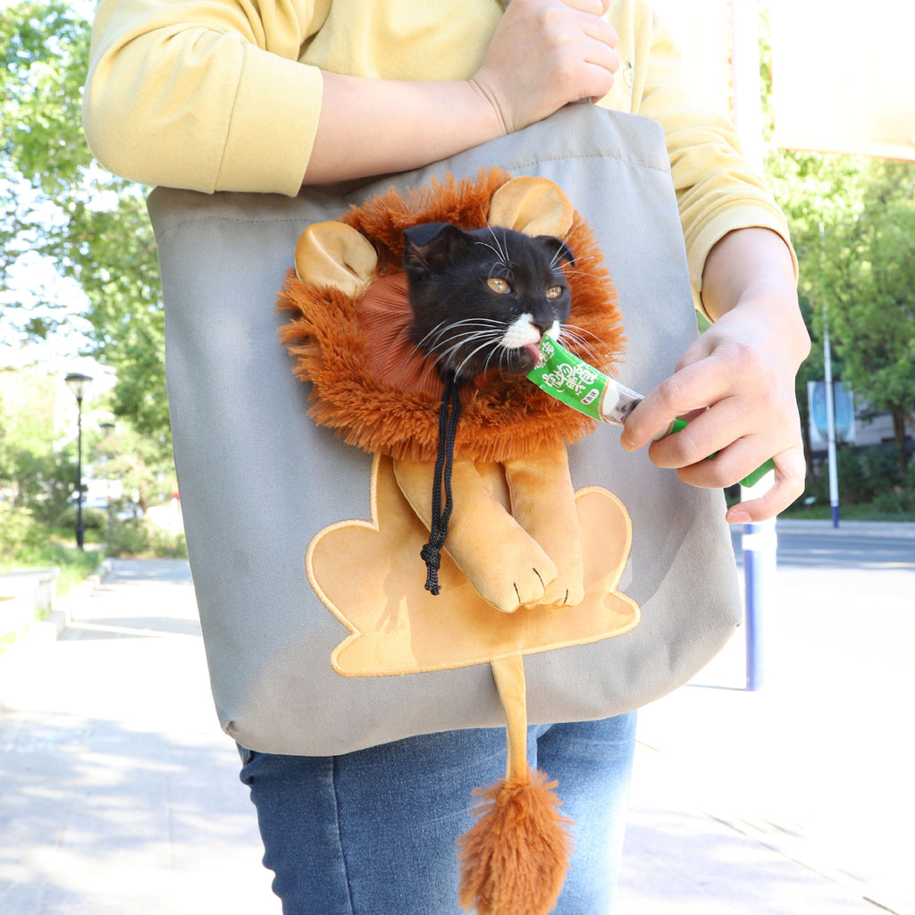 soft-sided-pet-carrier-bag-breathable-mesh-small