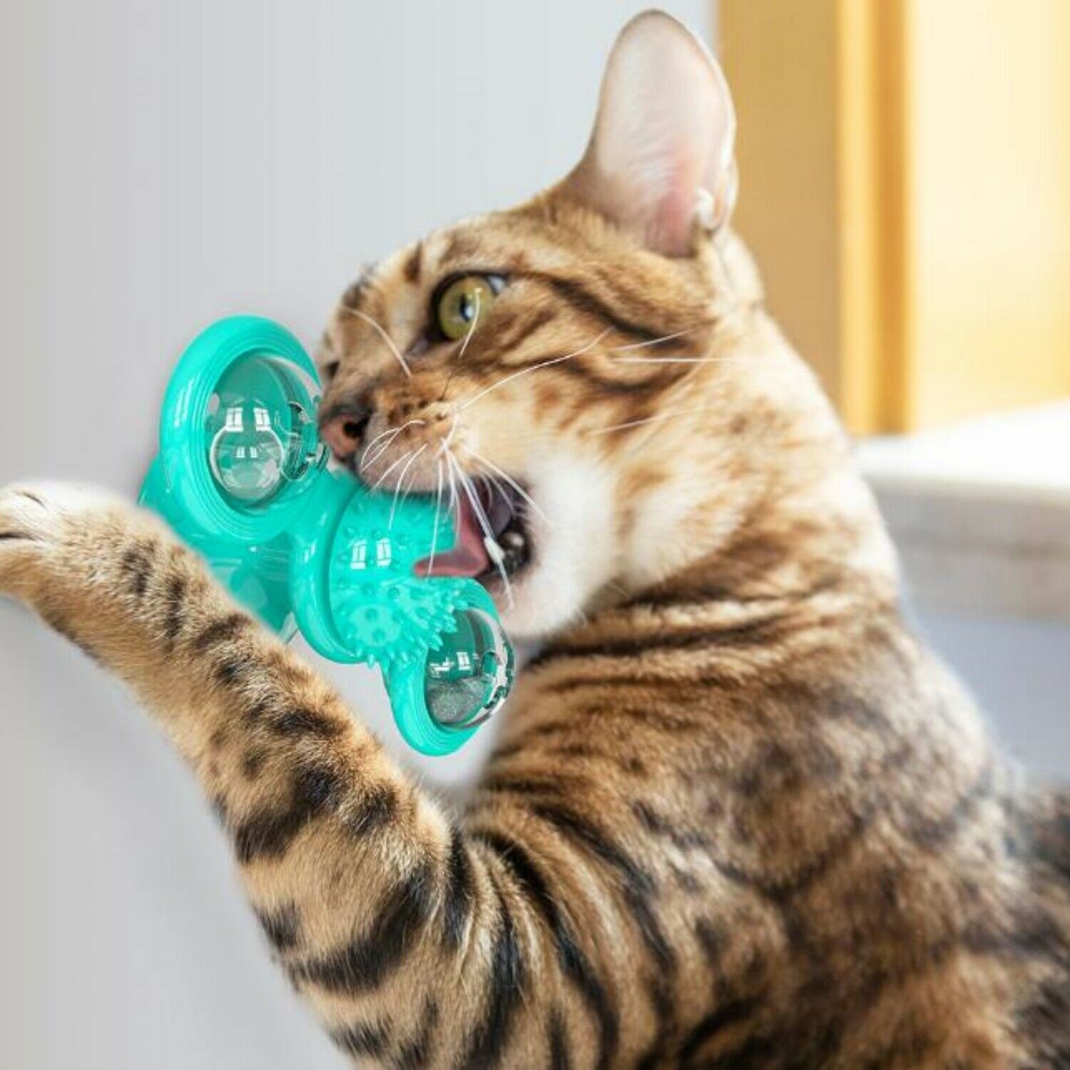 Rotating Windmill Cat Toy - Spinning Interactive Teaser for Indoor Cats