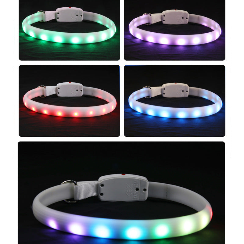 usb-rechargeable-led-collar-seen-from-400m-in-the-dark
