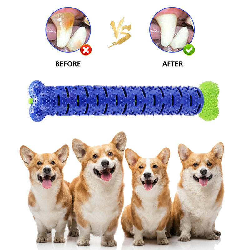 Dental Chew Toothbrush Toy - Molar Cleaning for Dogs