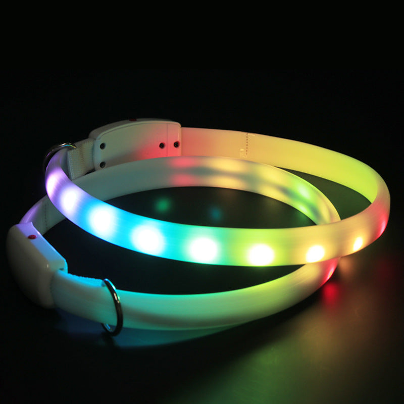 usb-rechargeable-led-collar-seen-from-400m-in-the-dark