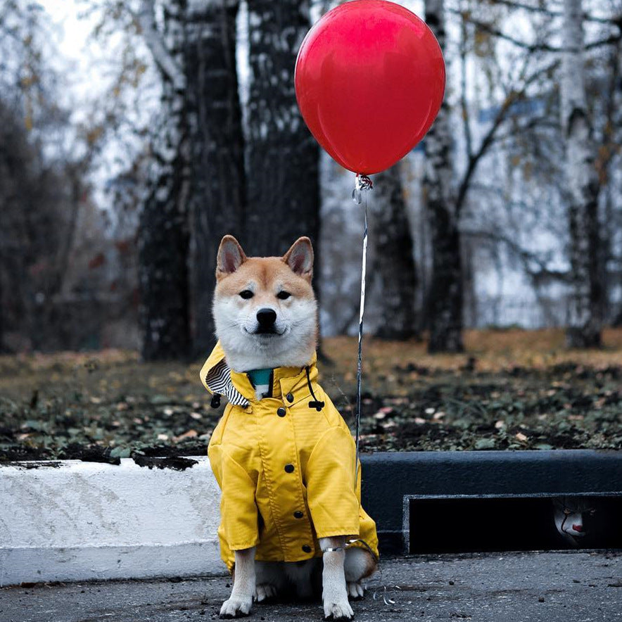 Windproof Dog Jacket - Insulated Coat for Cold and Wet Walks
