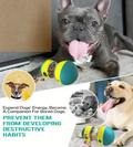 Interactive Dog Treat Toy