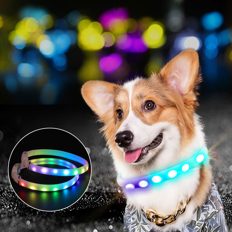 usb-rechargeable-led-collar-seen-from-400m-in-the-dark