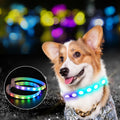 usb-rechargeable-led-collar-seen-from-400m-in-the-dark